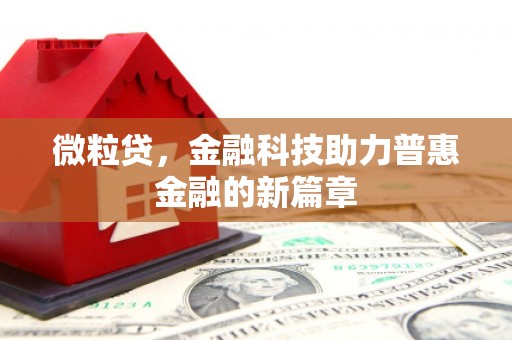 岱岳微粒贷，金融科技助力普惠金融的新篇章