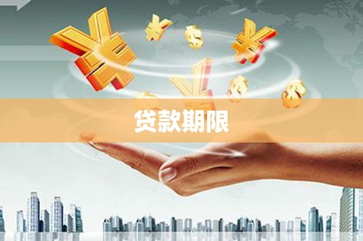 岱岳贷款期限