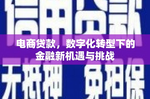 岱岳电商贷款，数字化转型下的金融新机遇与挑战