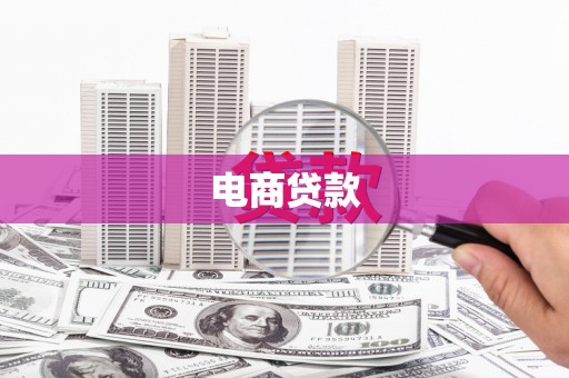 岱岳电商贷款