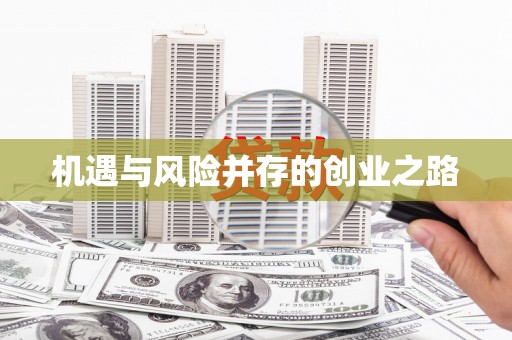 岱岳机遇与风险并存的创业之路