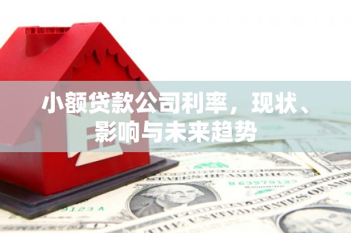 岱岳小额贷款公司利率，现状、影响与未来趋势