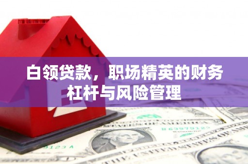 岱岳白领贷款，职场精英的财务杠杆与风险管理