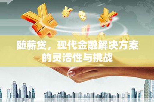 岱岳随薪贷，现代金融解决方案的灵活性与挑战