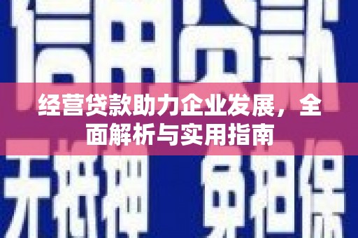 岱岳经营贷款助力企业发展，全面解析与实用指南