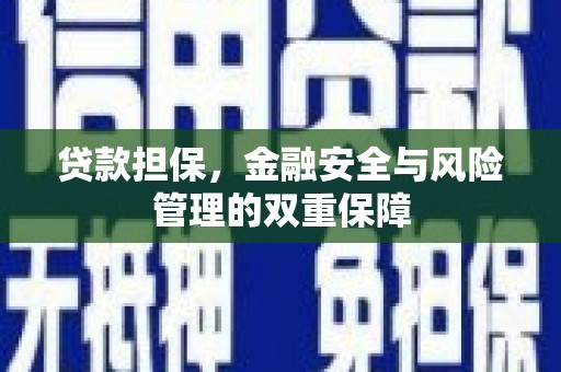 岱岳贷款担保，金融安全与风险管理的双重保障