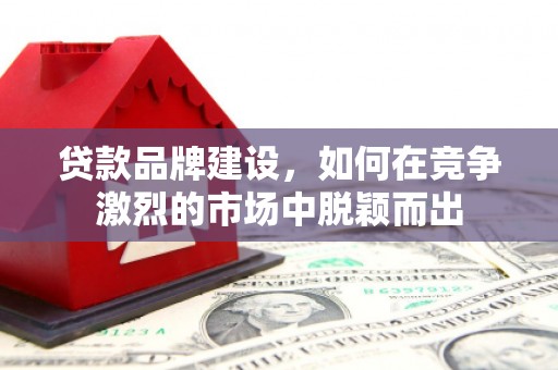 岱岳贷款品牌建设，如何在竞争激烈的市场中脱颖而出