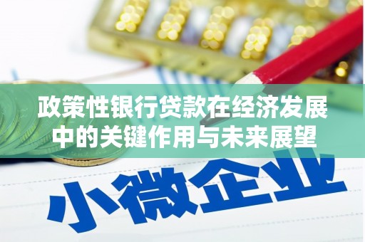 岱岳政策性银行贷款在经济发展中的关键作用与未来展望