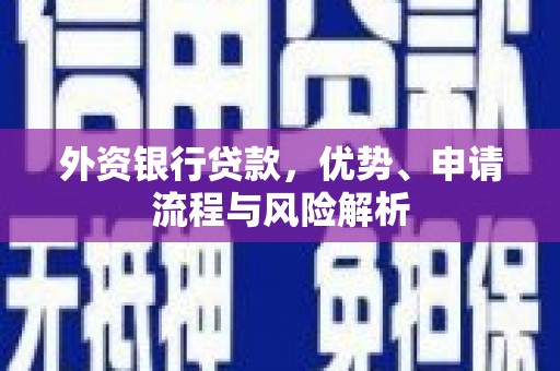 岱岳外资银行贷款，优势、申请流程与风险解析