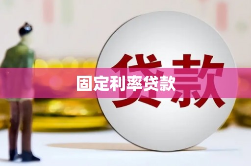 岱岳固定利率贷款