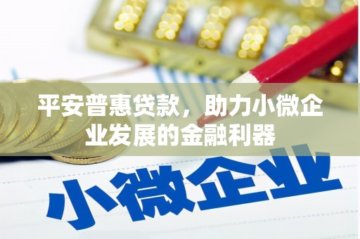 岱岳平安普惠贷款，助力小微企业发展的金融利器