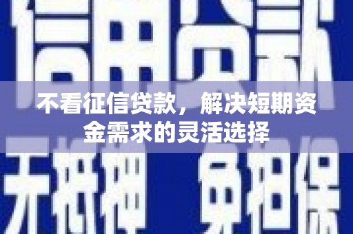 岱岳不看征信贷款，解决短期资金需求的灵活选择