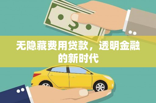 岱岳无隐藏费用贷款，透明金融的新时代