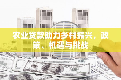 岱岳农业贷款助力乡村振兴，政策、机遇与挑战
