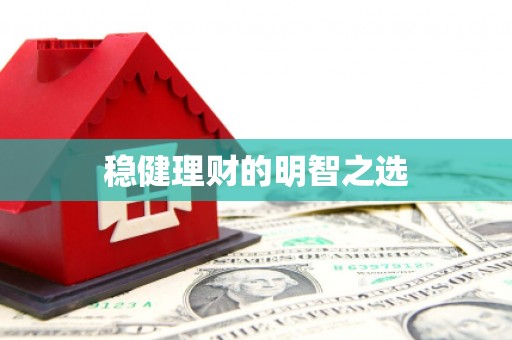 岱岳稳健理财的明智之选