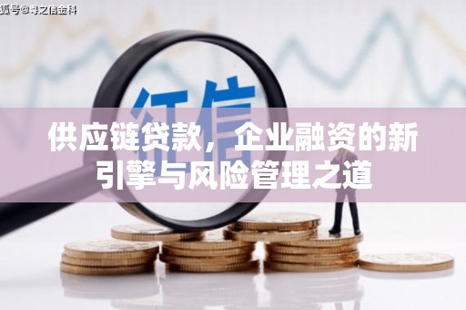 岱岳供应链贷款，企业融资的新引擎与风险管理之道