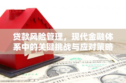 岱岳贷款风险管理，现代金融体系中的关键挑战与应对策略