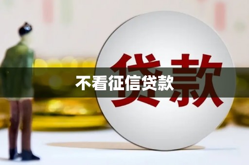 岱岳不看征信贷款