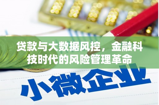 岱岳贷款与大数据风控，金融科技时代的风险管理革命