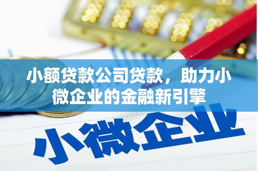 岱岳小额贷款公司贷款，助力小微企业的金融新引擎