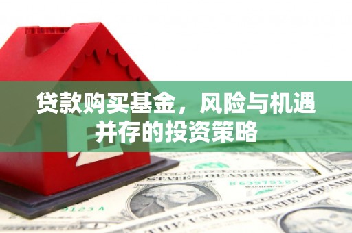 岱岳贷款购买基金，风险与机遇并存的投资策略