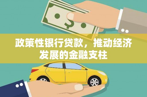 岱岳政策性银行贷款，推动经济发展的金融支柱