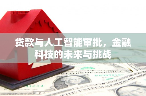 岱岳贷款与人工智能审批，金融科技的未来与挑战