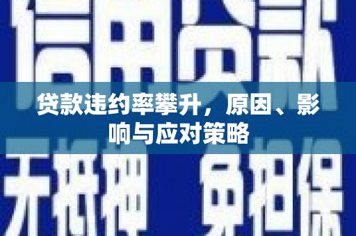 岱岳贷款违约率攀升，原因、影响与应对策略