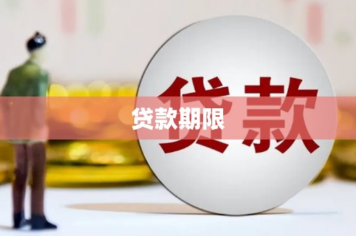 岱岳贷款期限