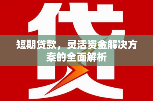 岱岳短期贷款，灵活资金解决方案的全面解析