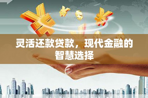 岱岳灵活还款贷款，现代金融的智慧选择