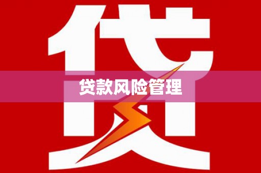 岱岳贷款风险管理