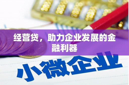 岱岳经营贷，助力企业发展的金融利器