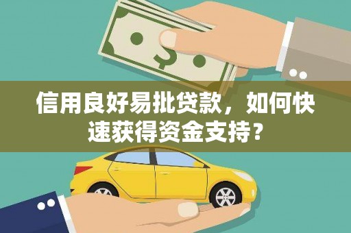 岱岳信用良好易批贷款，如何快速获得资金支持？