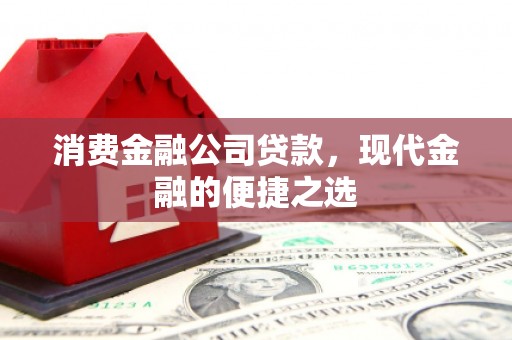 岱岳消费金融公司贷款，现代金融的便捷之选