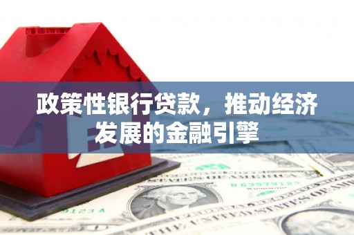 岱岳政策性银行贷款，推动经济发展的金融引擎