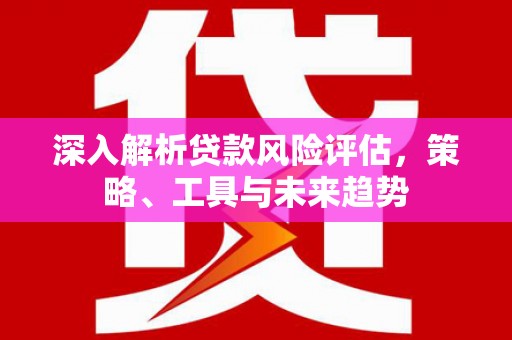 岱岳深入解析贷款风险评估，策略、工具与未来趋势