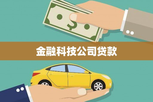岱岳金融科技公司贷款