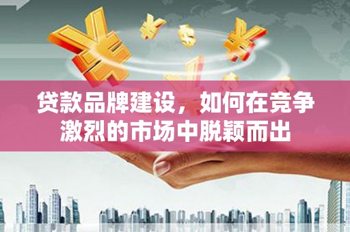 岱岳贷款品牌建设，如何在竞争激烈的市场中脱颖而出
