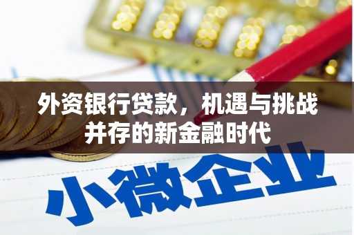岱岳外资银行贷款，机遇与挑战并存的新金融时代
