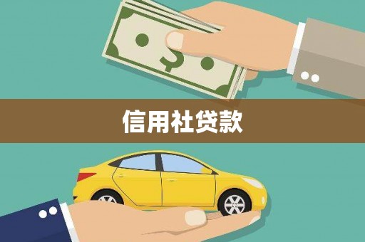 岱岳信用社贷款