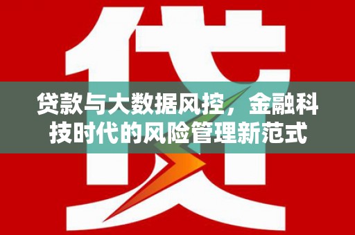 岱岳贷款与大数据风控，金融科技时代的风险管理新范式
