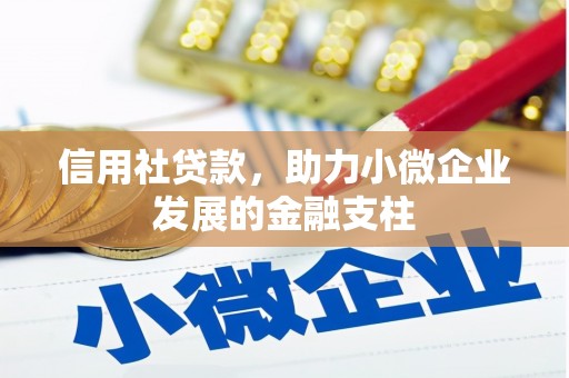 岱岳信用社贷款，助力小微企业发展的金融支柱