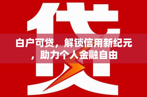 岱岳白户可贷，解锁信用新纪元，助力个人金融自由