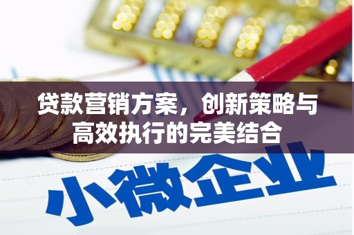 岱岳贷款营销方案，创新策略与高效执行的完美结合