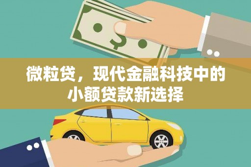 岱岳微粒贷，现代金融科技中的小额贷款新选择