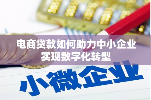 岱岳电商贷款如何助力中小企业实现数字化转型