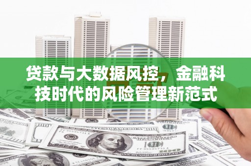 岱岳贷款与大数据风控，金融科技时代的风险管理新范式
