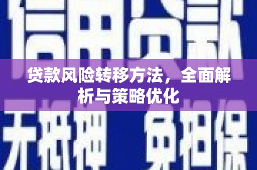 岱岳贷款风险转移方法，全面解析与策略优化