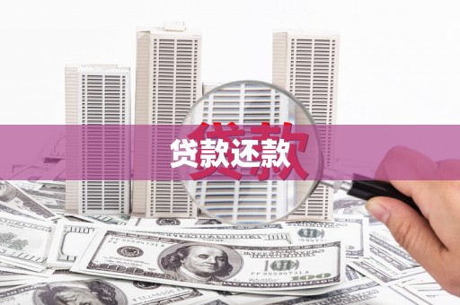 岱岳贷款还款